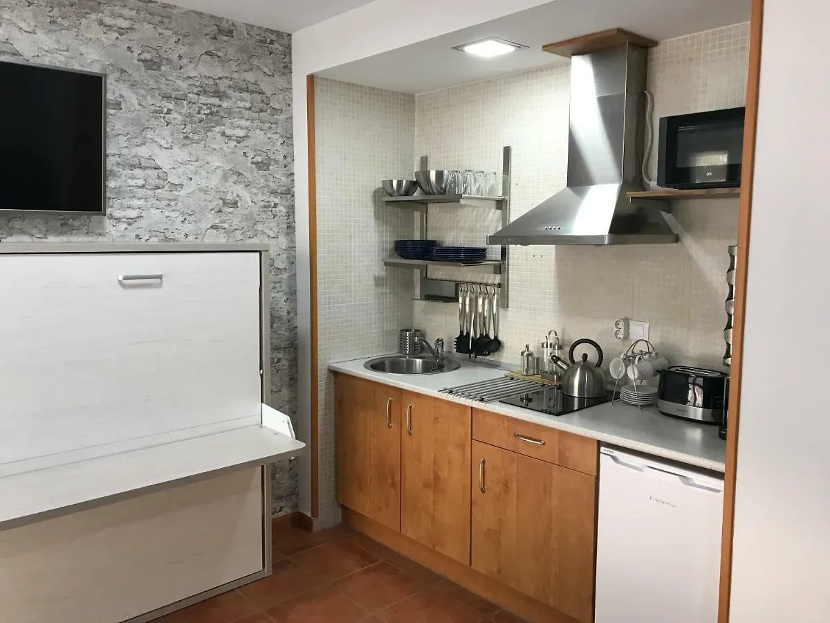 Sierra Nevada Ski Apartment
