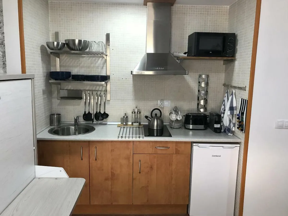 Sierra Nevada Ski Apartment